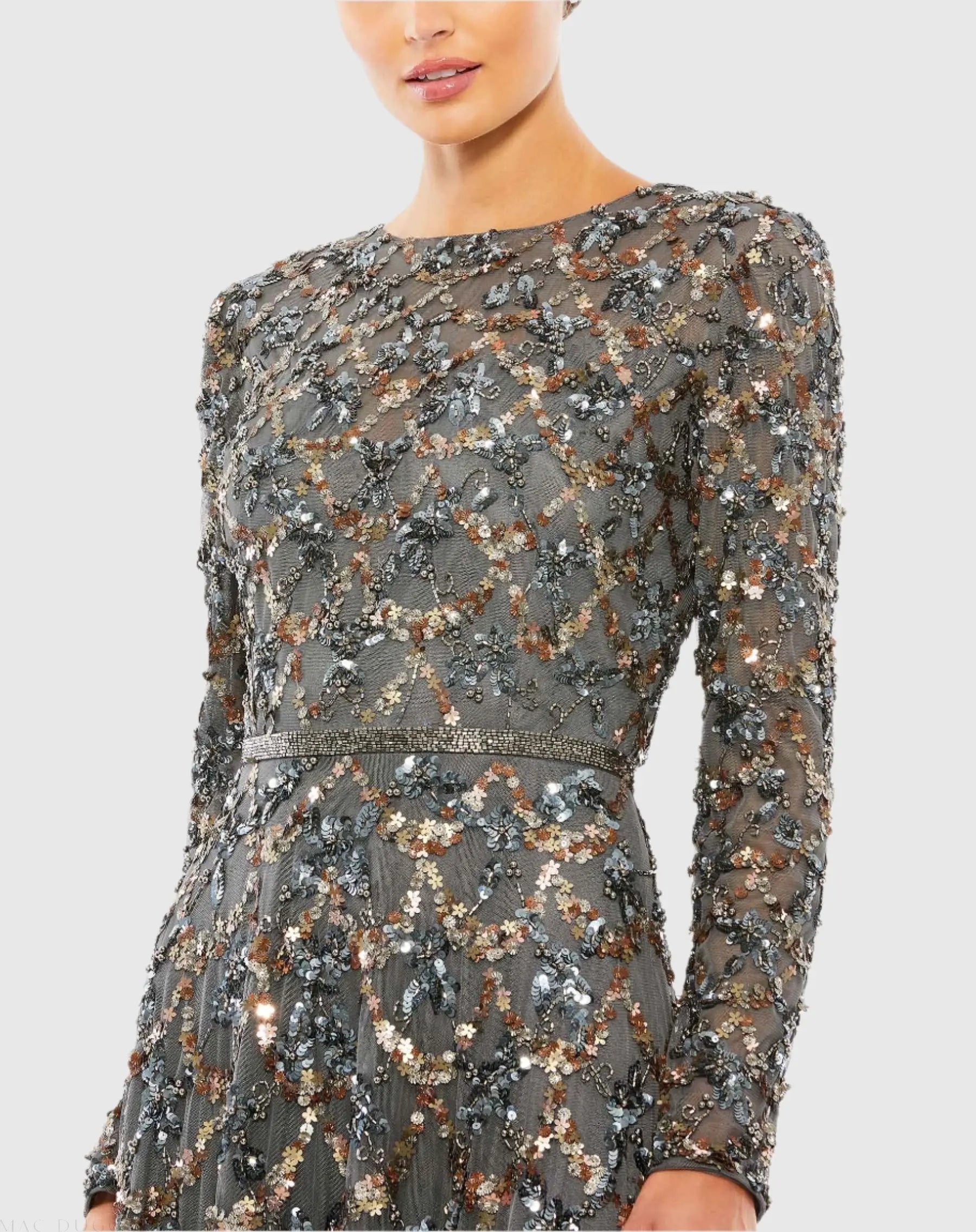 Gray Embellished Illusion High Neck Long Sleeve A Line Gown