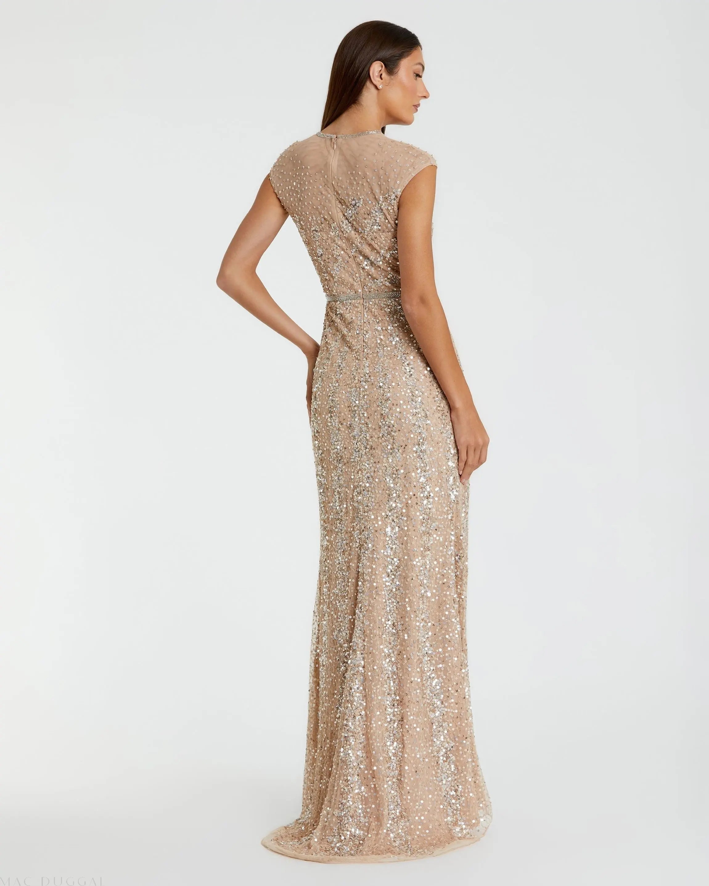 Beige Embellished Illusion High Neck Cap Sleeve Gown