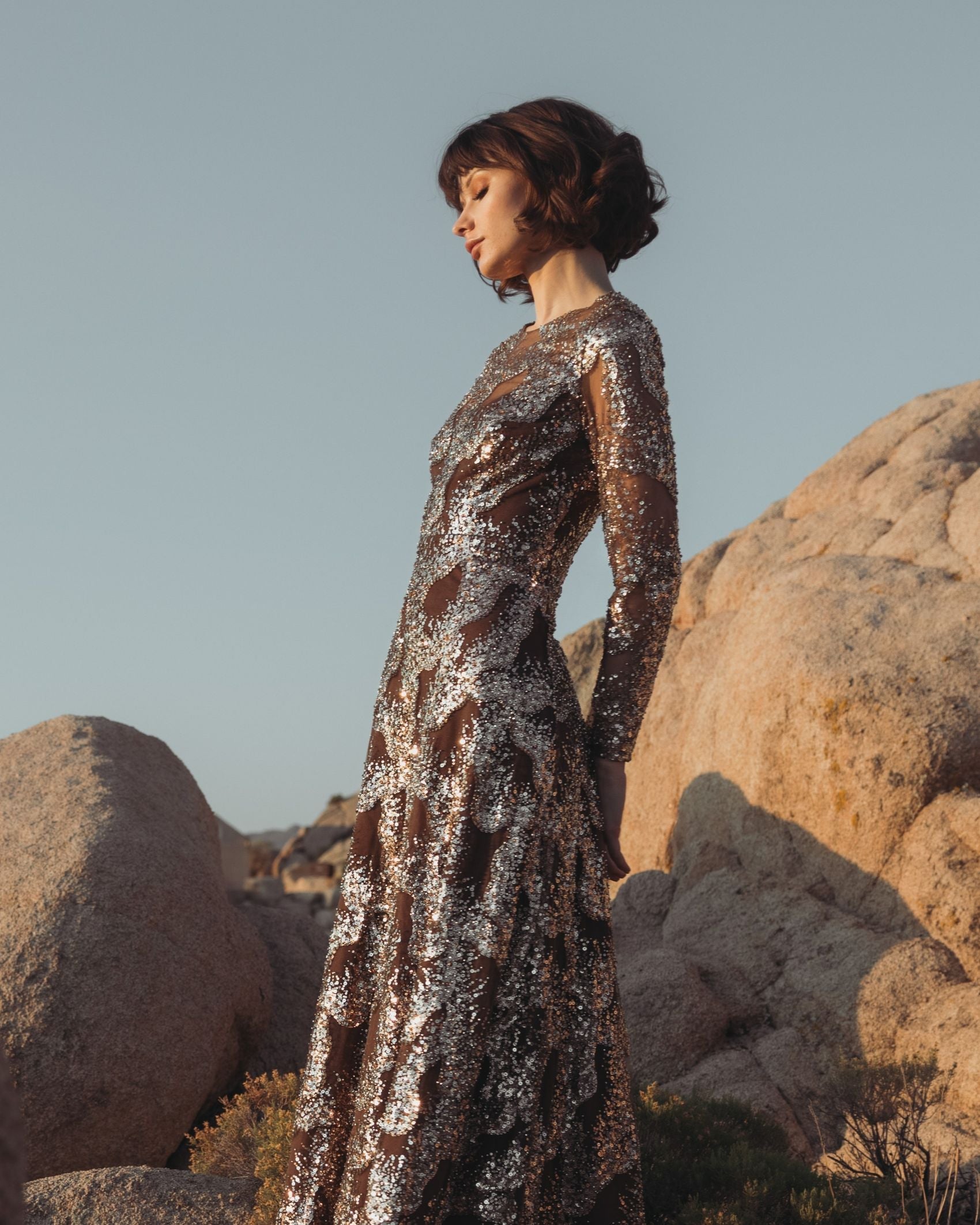 Brown Embellished Long Sleeve High Neck Evening Gown