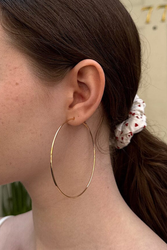 Hoop Earrings